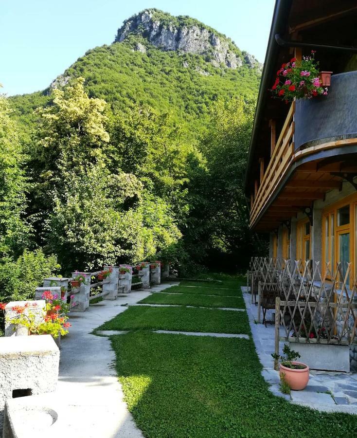 Agriturismo La Selvaggia Mandello del Lario Exteriér fotografie