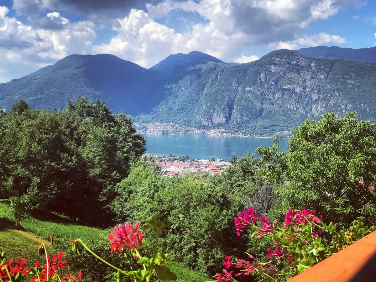 Agriturismo La Selvaggia Mandello del Lario Exteriér fotografie